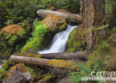 Countdown: Top 50 Summer Pics: #6 – Watson Waterfall