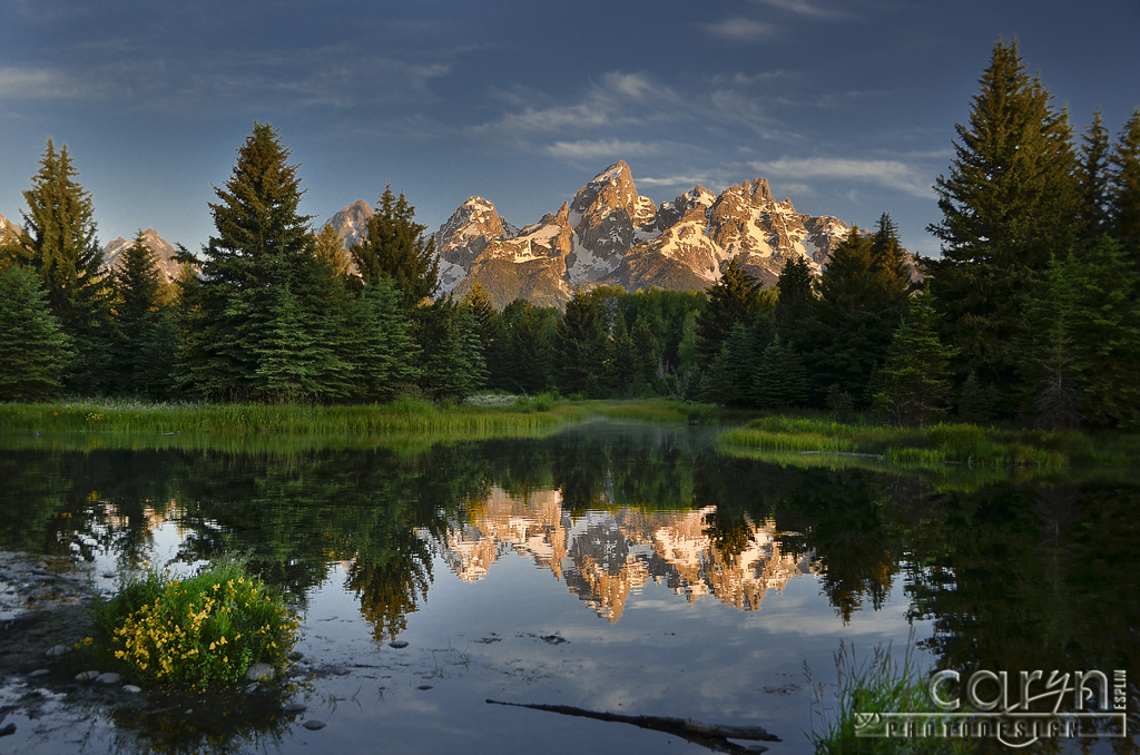 Sunrise on the Grand Tetons at Schwabacher Landing | Caryn Esplin ...