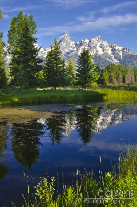 Sunrise on the Grand Tetons at Schwabacher Landing | Caryn Esplin ...