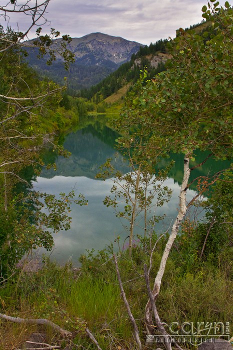 Caryn Esplin - Little Elk Creek Lake, Idaho