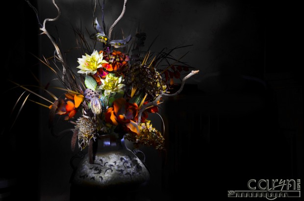 Caryn Esplin Light Painting DriedFlowers