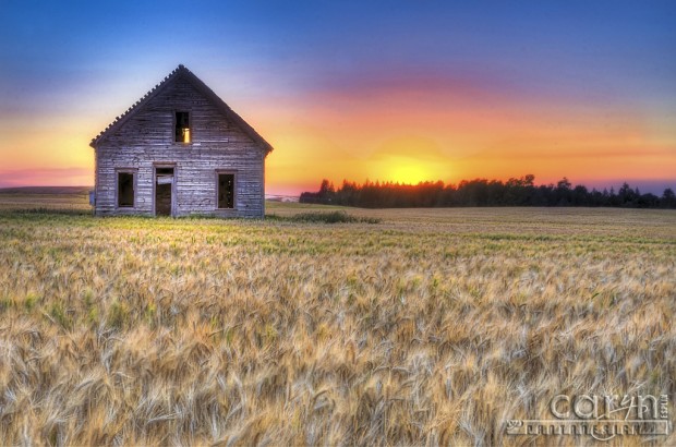 Caryn Esplin - Harvest of Color - Lonely Old House - Wheat