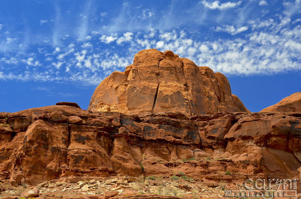 Lake Powell Canyons in Afternoon Sunlight