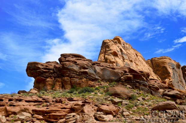 Caryn Esplin - Lake Powell Red Rock Canyon