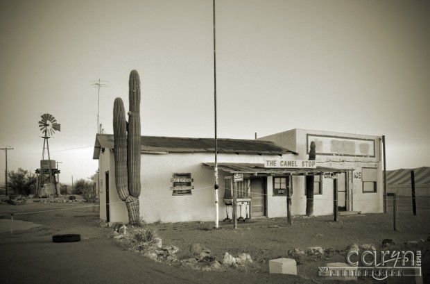 Caryn Esplin - Quartzsite, AZ - Camel Stop - Sepia