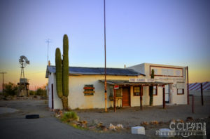 Caryn Esplin - Quartzsite, AZ - Camel Stop