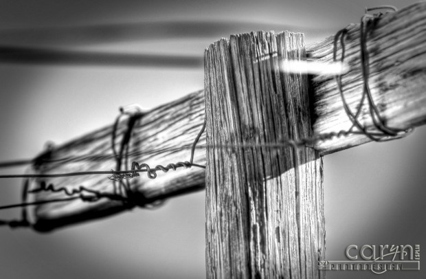 Caryn Esplin - Quartzsite, AZ - Old Clothesline