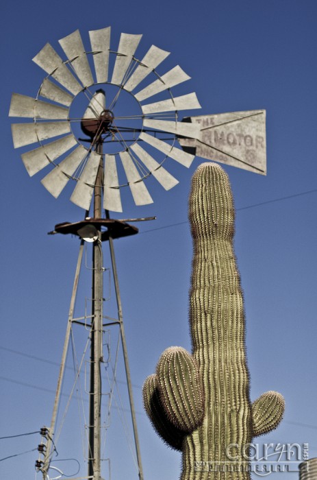 Caryn Esplin - Quartzsite, AZ - Windmill