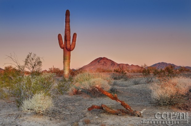 Caryn Esplin - Arizona Red Sunrise - Quartzsite, Arizona