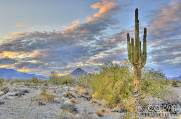 Caryn Esplin - Arizona Sunset Spread - Quartzsite, Arizona