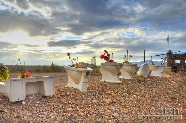 Caryn Esplin Goldminers Potties