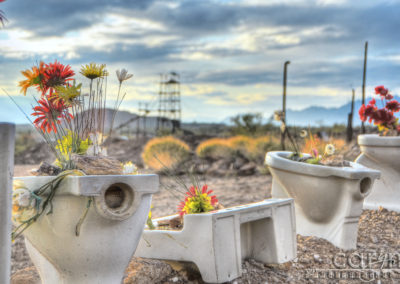 Gold Miner’s Potty Garden