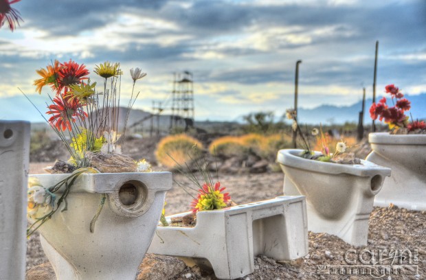 Caryn Esplin Goldminers Potty Garden