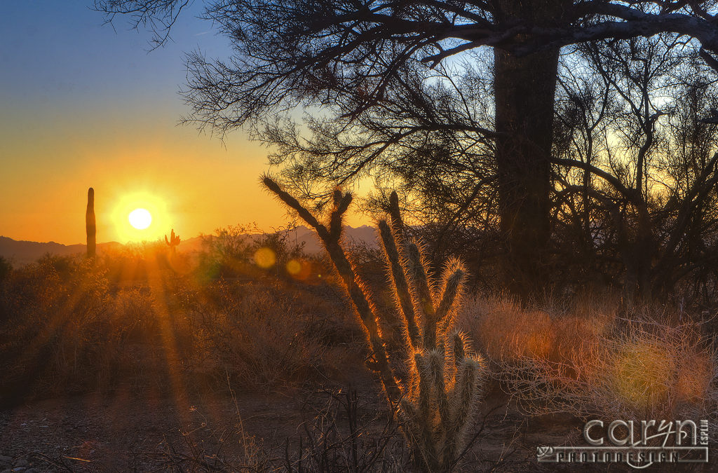 December Desert Sunrise