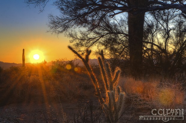 Caryn Esplin - Sunrise Flare - Quartzsite, Arizona