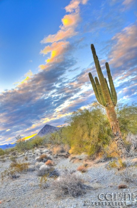 Caryn Esplin - Sweeping Arizona Sunset - Quartzsite, Arizona