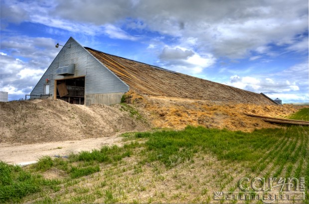 Caryn Esplin - Idaho Potato Cellar