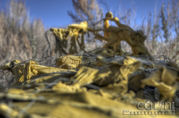 Old Rag Fence - Caryn Esplin - Nevada City, Montana