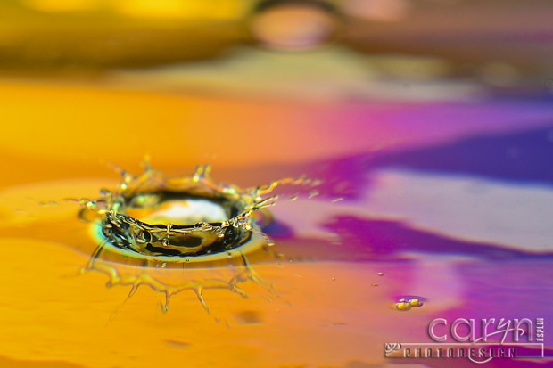 Stage 1 - The Crown - Water Drop Photography - Caryn Esplin