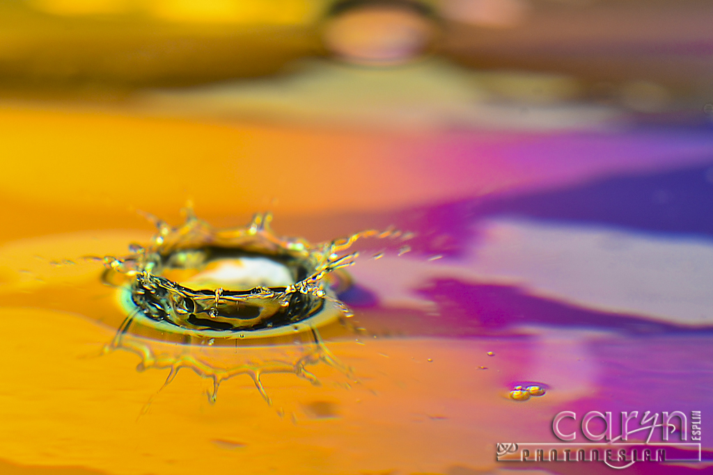 Water Drops: 7 Fascinating Stages