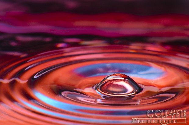 Stage 7 - The Bubble - Water Drop Photography - Caryn Esplin