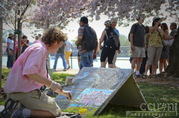 Art in the Park - Jefferson Memorial - Cherry Blossom Festival - Sunrise - Caryn Esplin