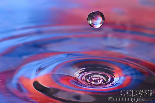 Floating Drop above Coil - Water Drop Photography - Caryn Esplin