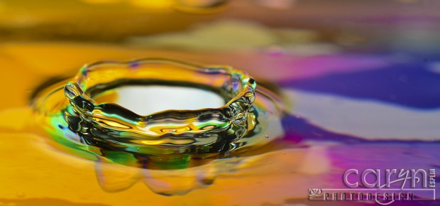 Crown of Milk - Water Drop Photography - Caryn Esplin