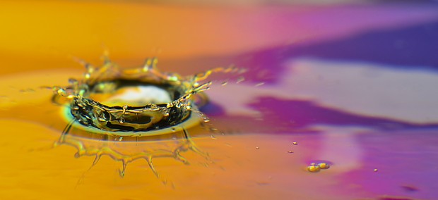 Orange Crown - Water Drop Photography - Caryn Esplin