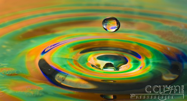 Orange Floater - Water Drop Photography - Caryn Esplin