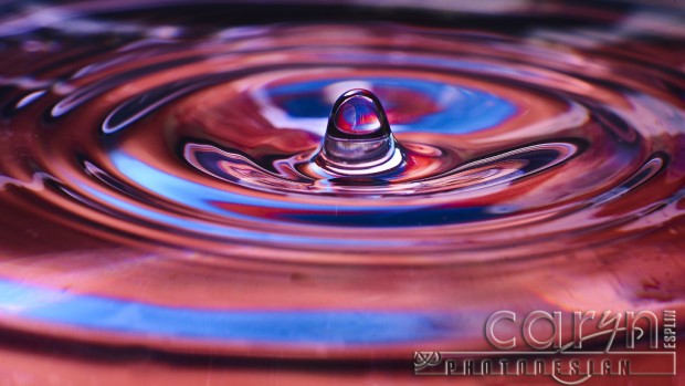 Baby Pinnacle - Water Drop Photography - Caryn Esplin