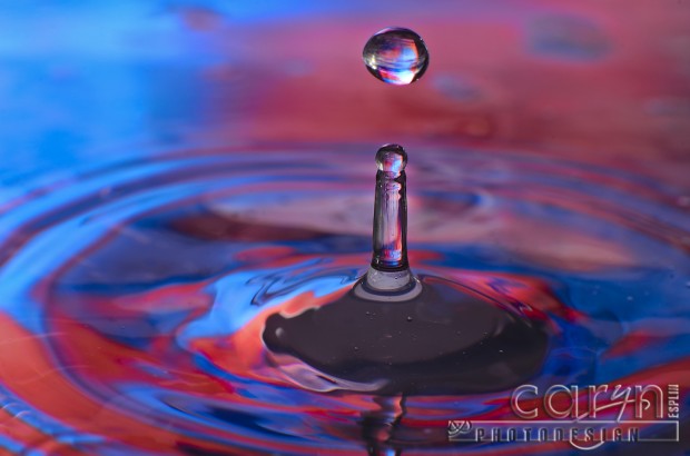 Drop Separates from Pinnacle - Water Drop Photography - Caryn Esplin