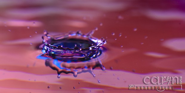 Magestic Crown Reflection - Water Drop Photography - Caryn Esplin