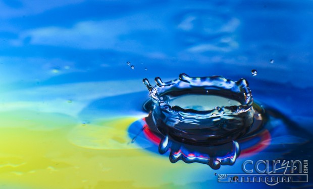 Red Rim Crown - Water Drop Photography - Caryn Esplin