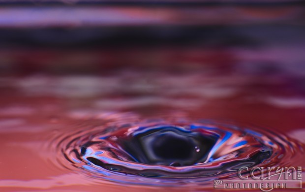 Purple Vortex - Water Drop Photography - Caryn Esplin