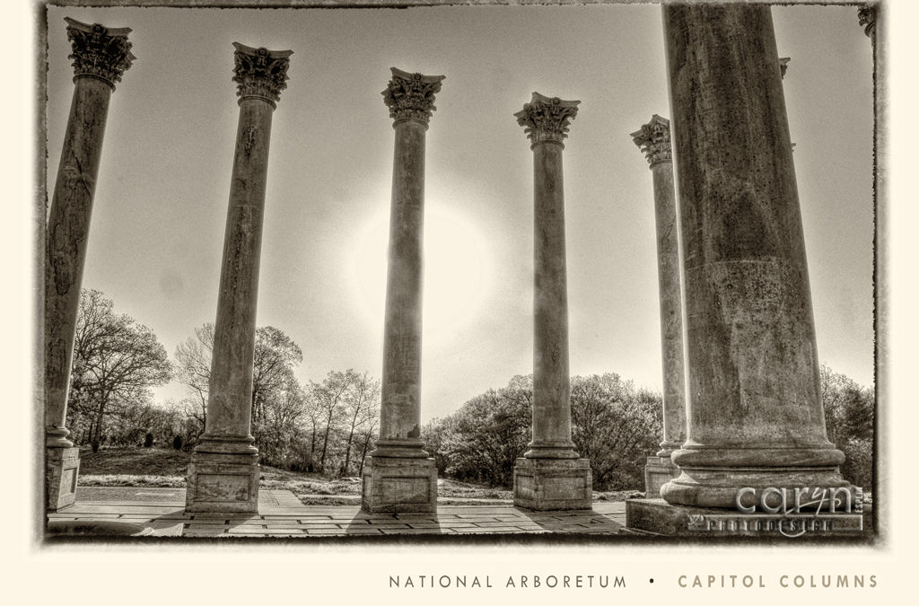 US Capitol Columns at the National Arboretum