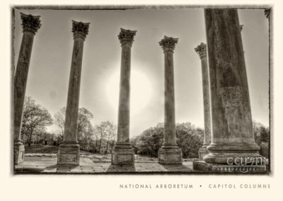 US Capitol Columns at the National Arboretum