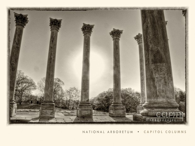 US Capitol Columns Poster - National Arboretum - Caryn Esplin