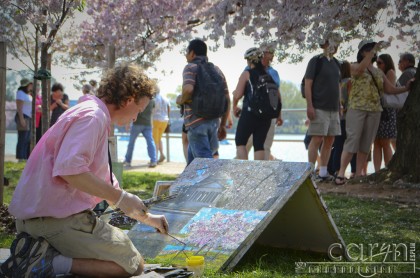 Cherry Blossoms - Artist in the Park - Washington D.C. - Caryn Esplin