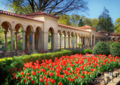 National Franciscan Monastery – Beautiful Grounds