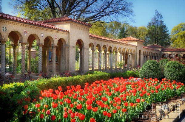 National FranciscanMonastery - Gate - Grounds - Washington D.C. - Caryn Esplin