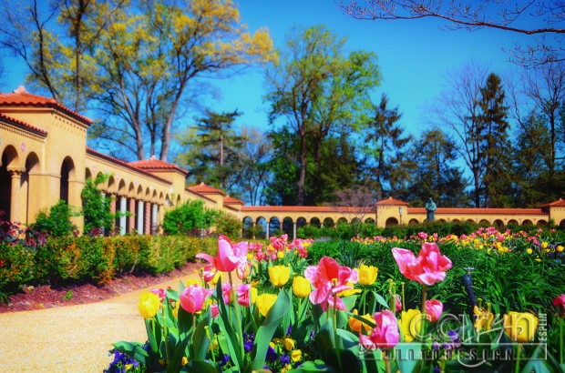 Caryn Esplin - National Franciscan Monastery - Spring