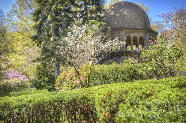 Caryn Esplin - National Fransiscan Monastery -  - Grounds- Washington D.C.