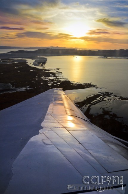 Airplane Wing View - On the way home from DC - Over SLC - Caryn Esplin