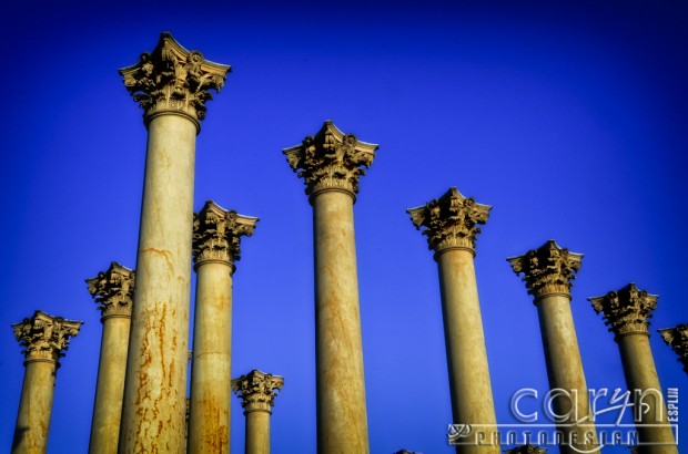 US Capitol Column Tops - National Arboretum - Caryn Esplin