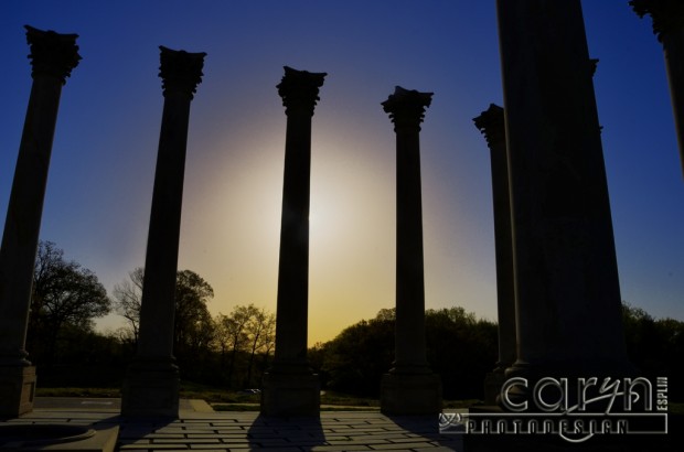 US Capitol Column Silhouette - National Arboretum - Caryn Esplin