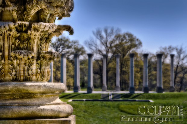 US Capitol Column View - National Arboretum - Caryn Esplin