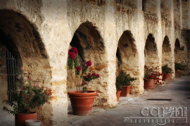 Caryn Esplin San Juan Mission Archway - San Antonio 