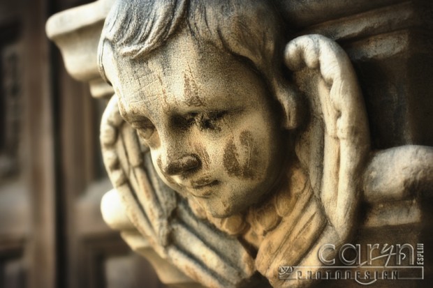 CarynEsplin San Juan Mission - Angelic Gargoyle