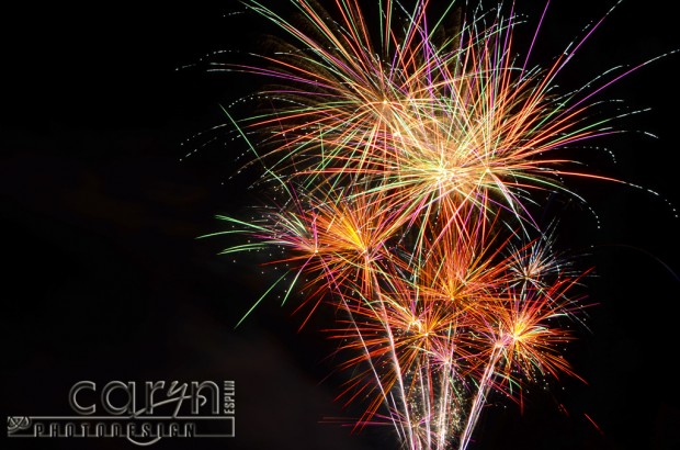 Caryn Esplin - Fireworks Bouquet - Island Park Reservoir, Idaho